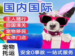 深圳宝安机场托运国际宠物托运 【国